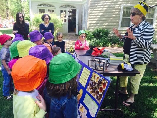 Learning about honey bees and other pollinators