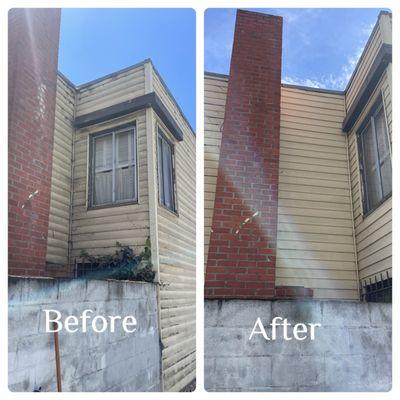 Soft washing before and after in hunters point .