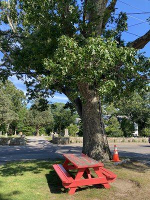 Bench Seat