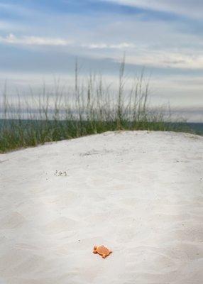 Perdido Key State Park