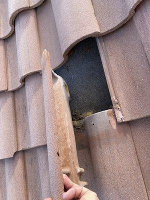 Loose Roof Tile, if left I repaired this will cause issues.