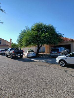 They impede parking for actual owners family and guests and then they park in their yard in the middle of the street etc