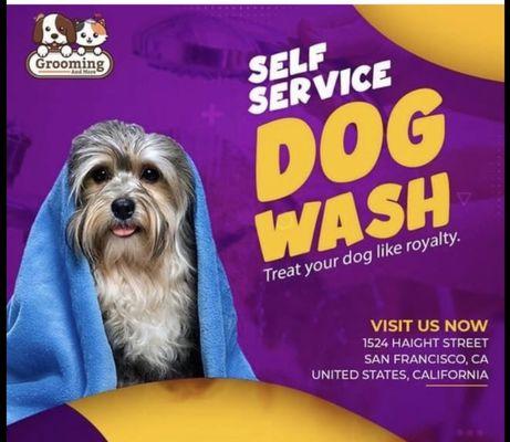 Self service dog wash