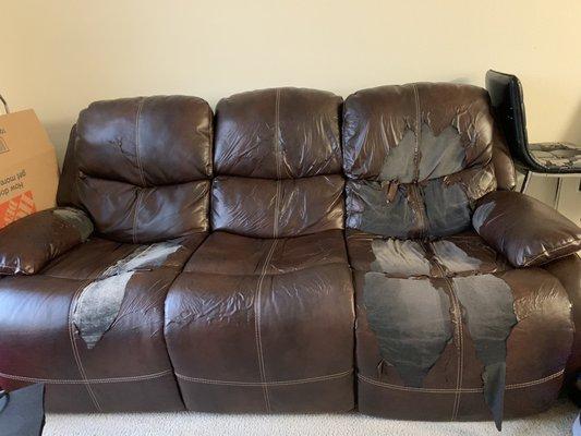 "Leather" couch after 8 years of use