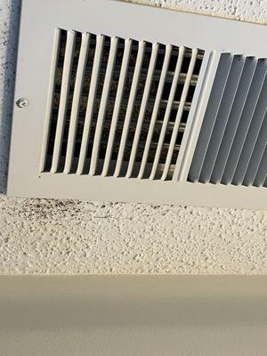 Moldy vents