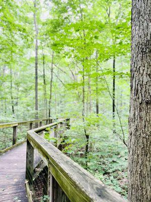 Lindenwood Nature Preserve