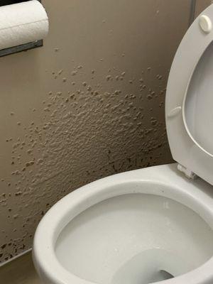 Gross bathroom, mold