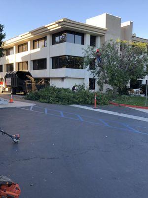 Commercial Building in Thousand Oaks