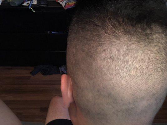 Way to high in the back, looks like a military high and tight.