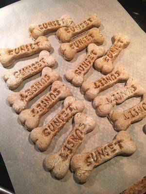 Doggie biscuits baked by Dr. K