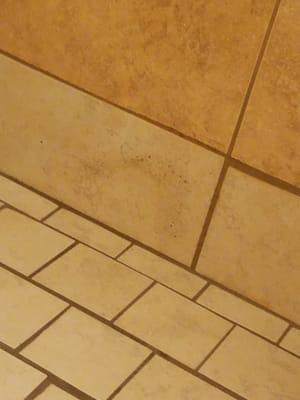 Nasty scum in the shower. I swear they never clean it