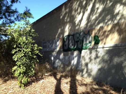 You should come every week to clean graffiti because that's how often it appears after you clean them off.