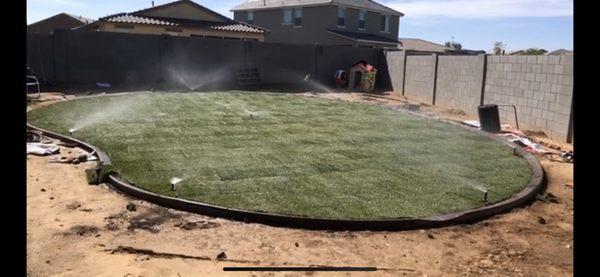 First day the sod went down