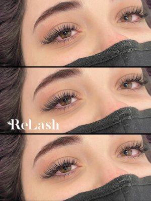 Experience the mystique and elegance of our cat-eye lash perfection at Relash