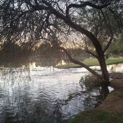 Lake at sunset