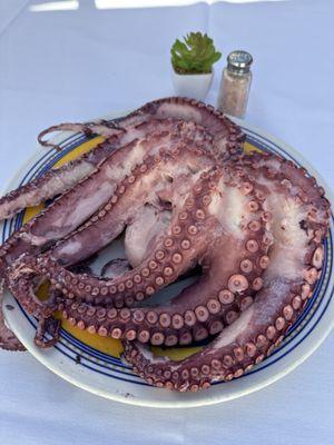 Octopus di Gravina