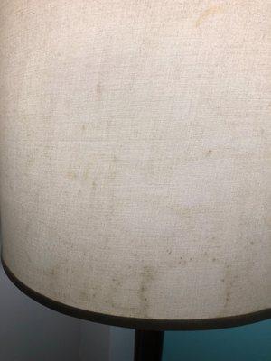 mold on lamp shade