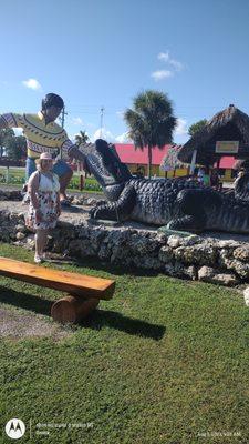 Stop at the Miccosukee Tribe on SR41