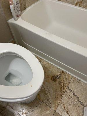 Cigarette Burns on toilet and dirty tub.