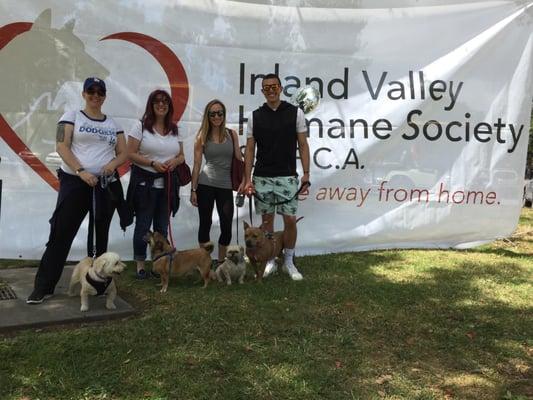 Just a few of the Kessler Alair Insurance employees that participated in the Paws 4 Pets walk to benefit the Inland Valley Humane Society.