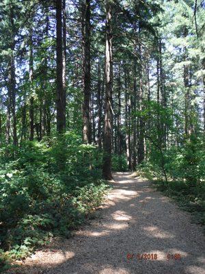 Beautiful trail, so relaxing, love it here!