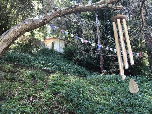 Tara Home (hospice cabin in the redwoods at Land of Medicine Buddha)