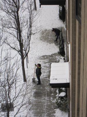 Office staff working