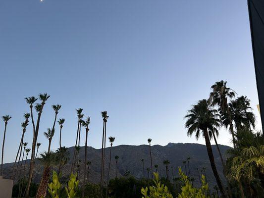 View from our bottom balcony!