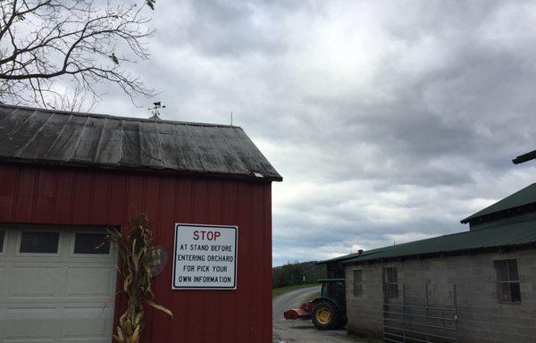 Don't go into the orchard before stopping at the stand.