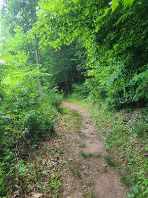 Part of the trail