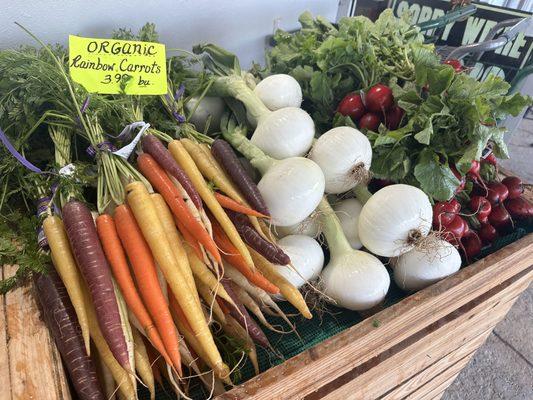 Fresh organic rainbow carrots, Florida spring onions, and radish bunches