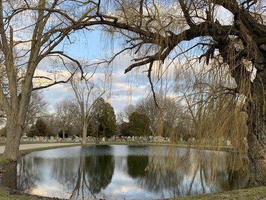 Serene pond within the cemetery