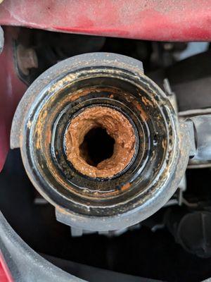 Radiator, The other Mechanic shops never checked. Not even Toyota