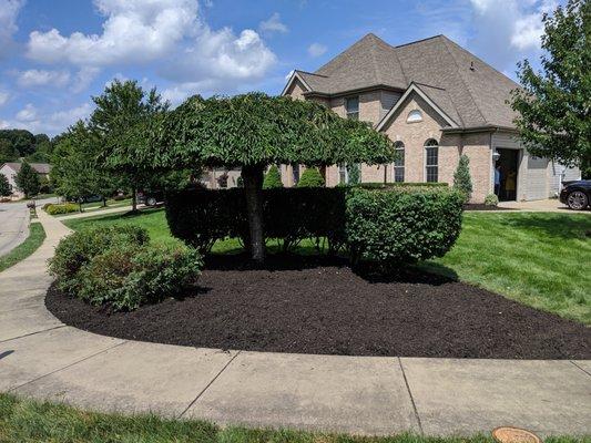 Mulch and bush trimming.