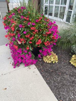 Front door flowers