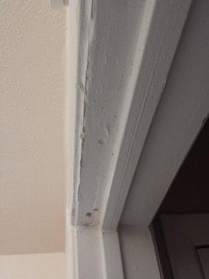 Davenport Exclusive! Shitty Door frame repair jobs!