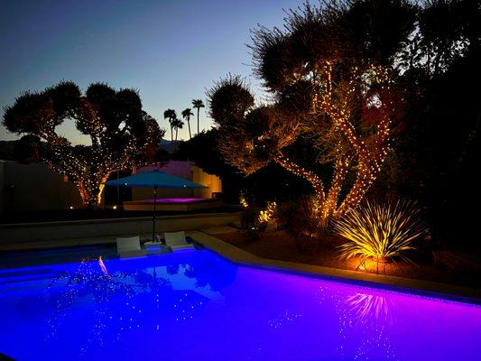 Dimmable Tree lights and Quality Ground lights