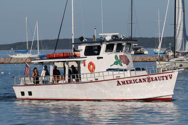 American Beauty Cruises & Charters