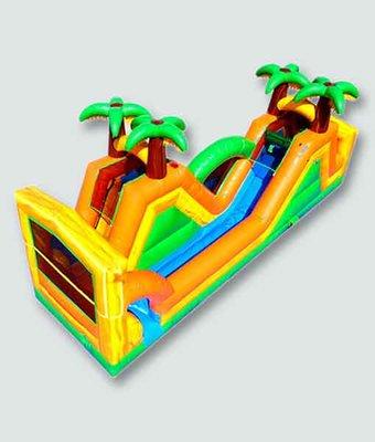 Tropical Double wet-dry slide