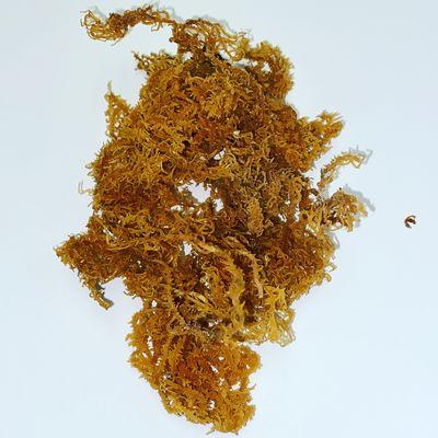 Sea moss