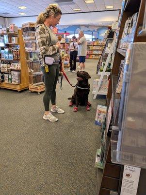 One of our trainers working on public access at a nearby bookstore