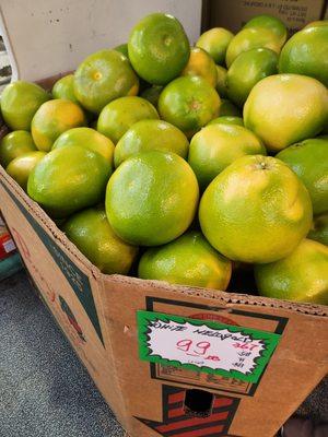 Pomelo fruits