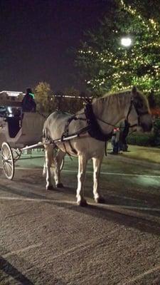 Horse drawn carriage rides for only $6 p/p! :-)