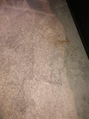 This is after the other carpet cleaner came to clean. Big difference. It's a bad spot but at least some effort was put to it.