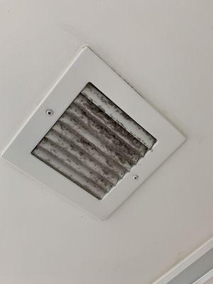 Filthy vent fan in our bathroom. Gross.