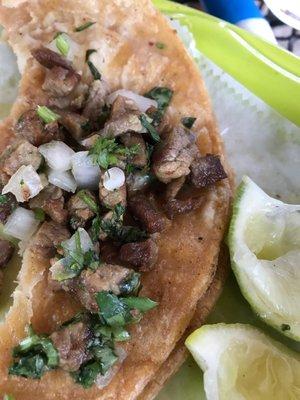 Steak taco with cilantro and onions on corn tortilla.