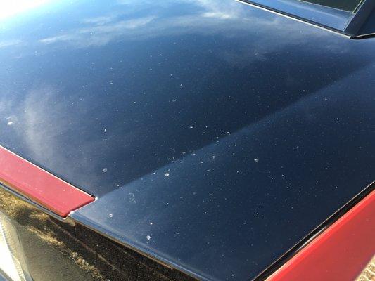 Paint job on trunk of 2004 Cadillac XLR which was told to me from dealer James "the paint job is perfect"