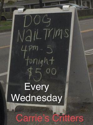 Carrie's Critters $5 nail trims