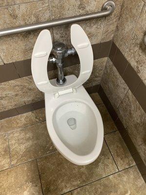 Dirty ass toilet. Pun intended.