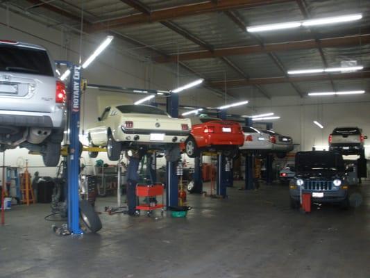 5 lifts and 1 truck lift in shop.